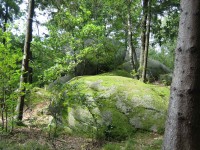 /album/fotogalerie-fotogalerie/region05-jpg/